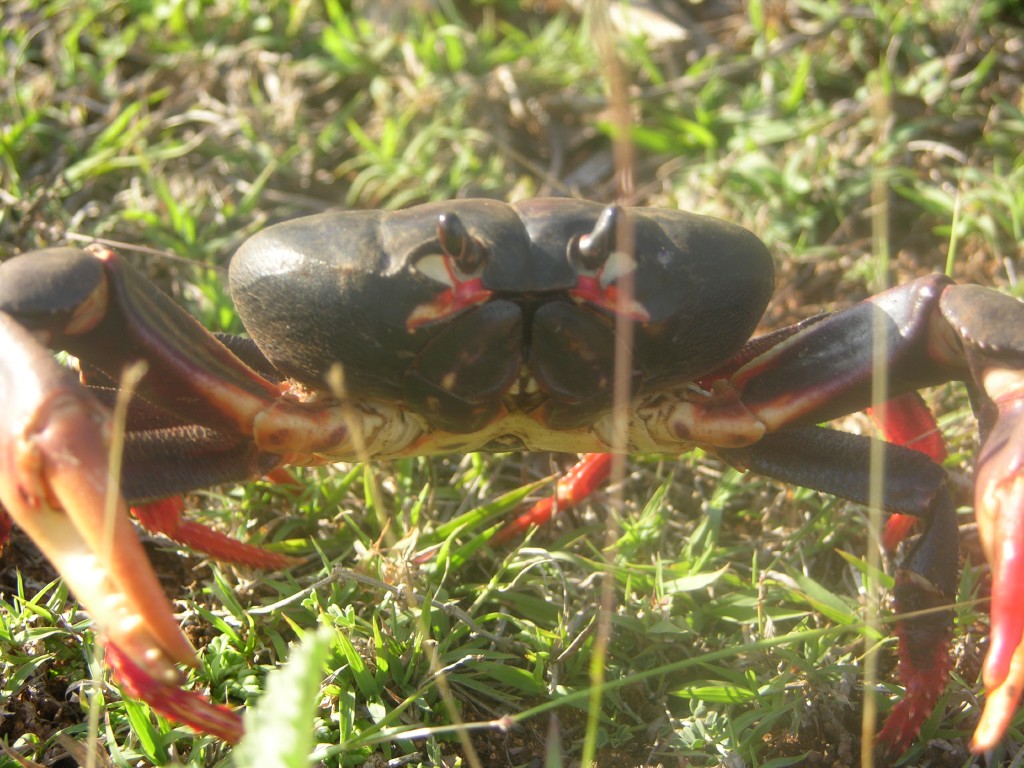 dscn4344.jpg