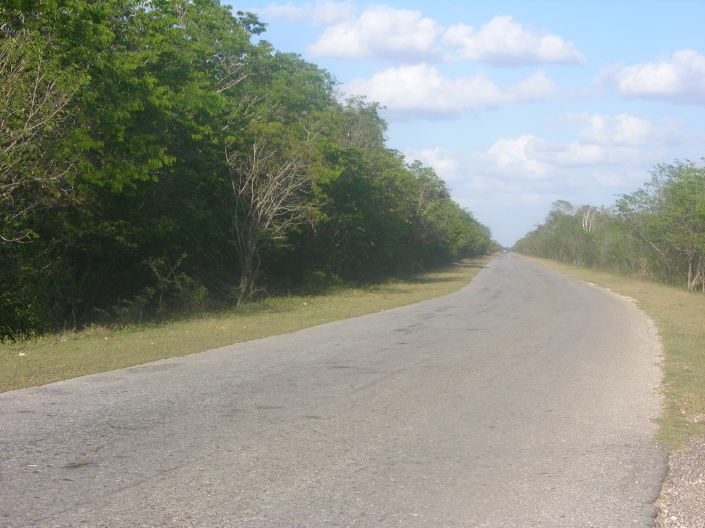 dscn4346.jpg