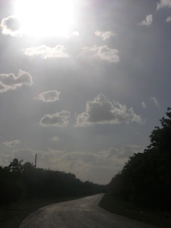 dscn4347.jpg