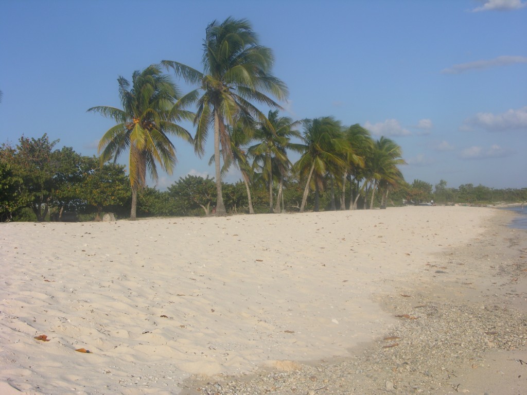 dscn4348.jpg