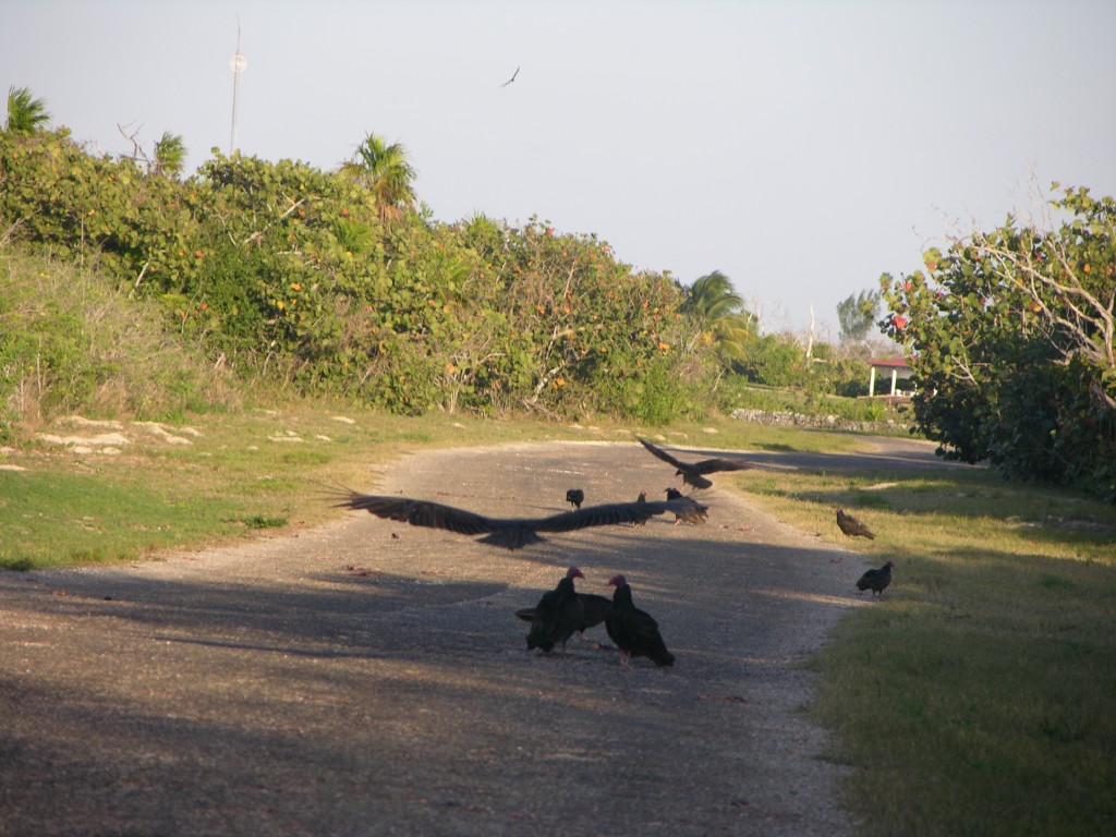dscn4357.jpg