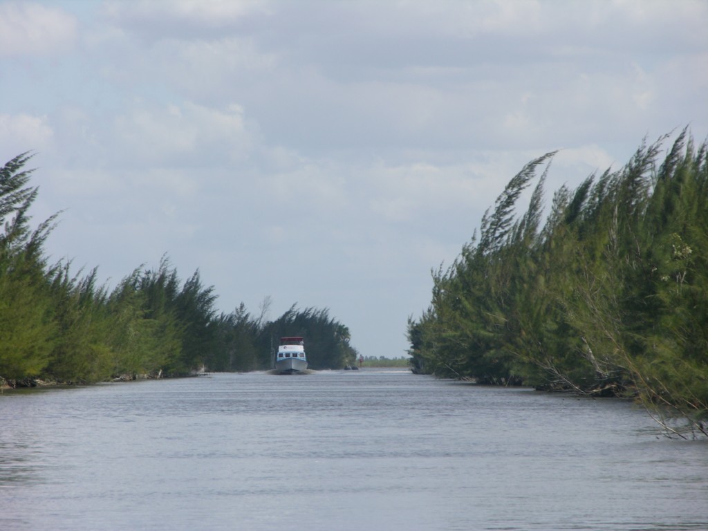 dscn4379.jpg