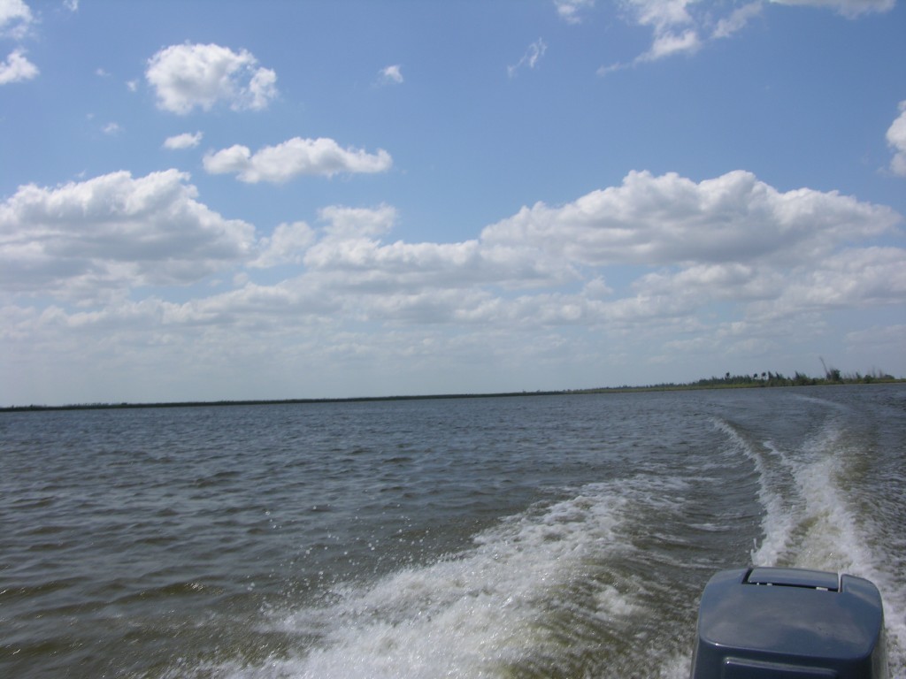 dscn4380.jpg