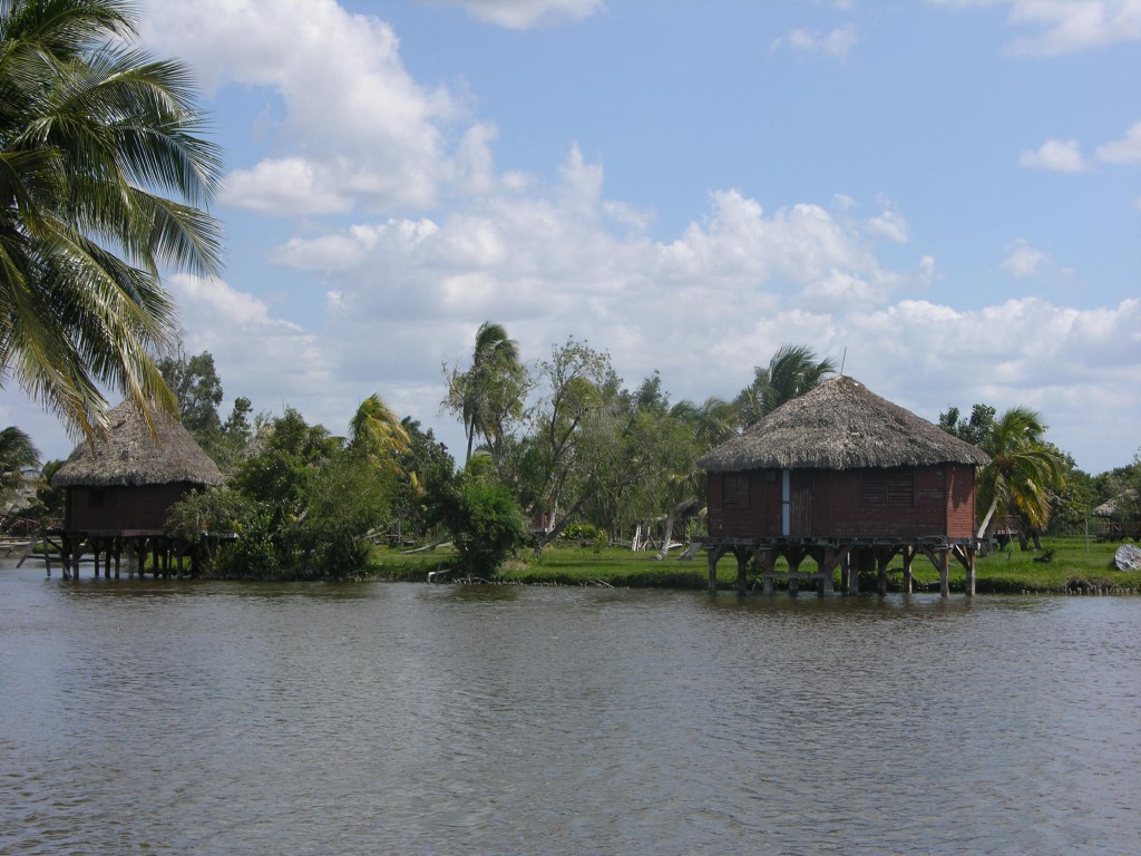 dscn4385.jpg