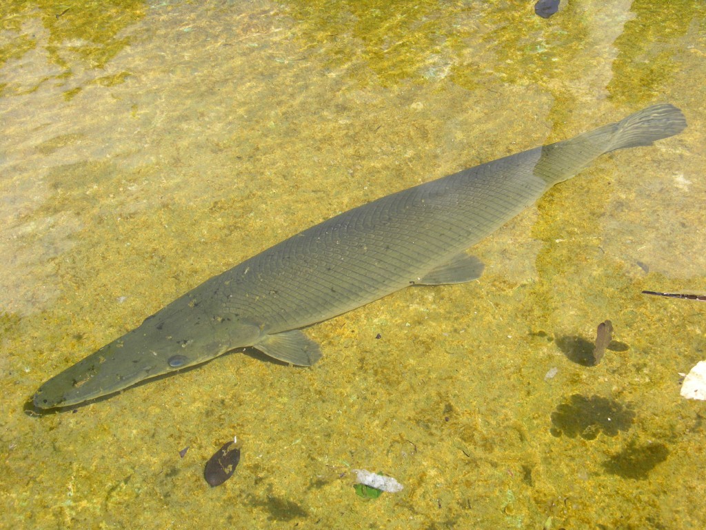 dscn4402.jpg