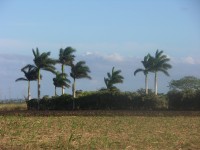 dscn4321.jpg