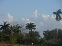 dscn4323.jpg