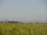 dscn4324.jpg