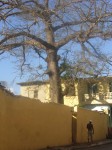 dscn4327.jpg