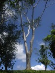dscn4333.jpg