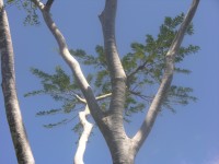 dscn4334.jpg