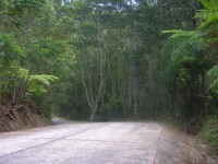 dscn4336.jpg