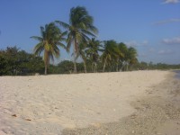 dscn4348.jpg