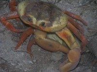 dscn4354.jpg