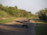 dscn4357.jpg