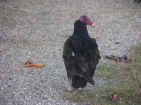 dscn4370.jpg