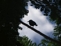 dscn4378.jpg
