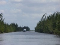 dscn4379.jpg