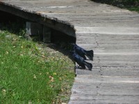 dscn4386.jpg