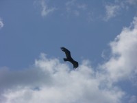 dscn4390.jpg