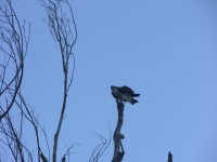 dscn4396.jpg