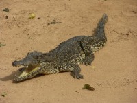 dscn4408.jpg