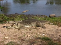 dscn4419.jpg