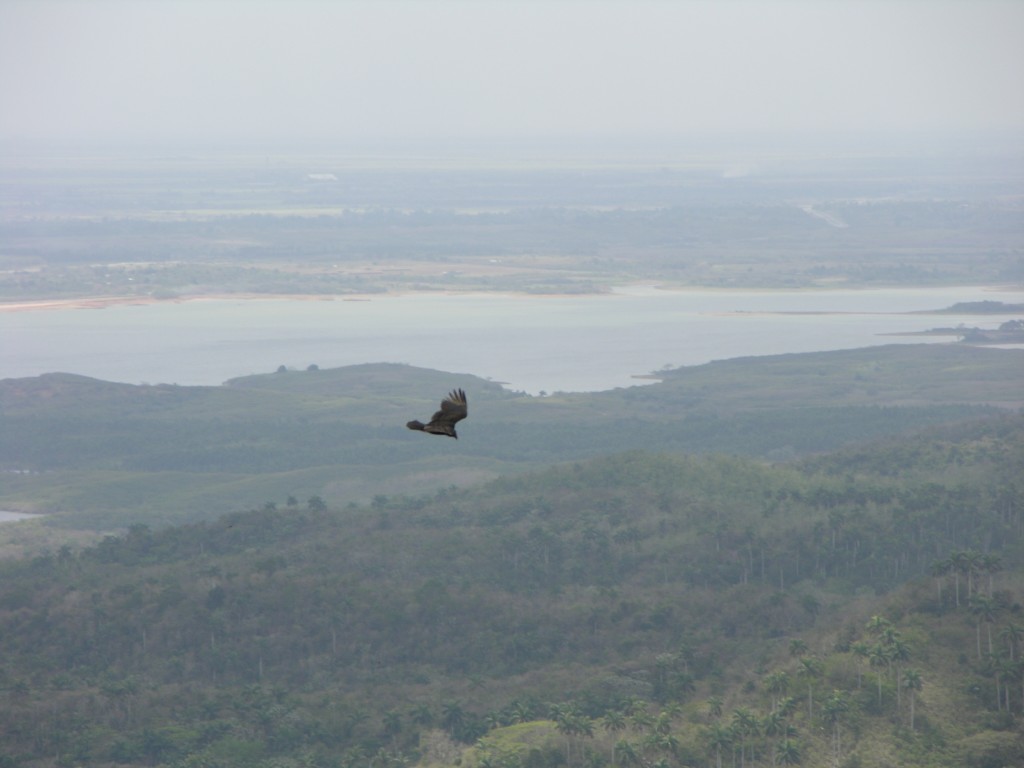 dscn4422.jpg