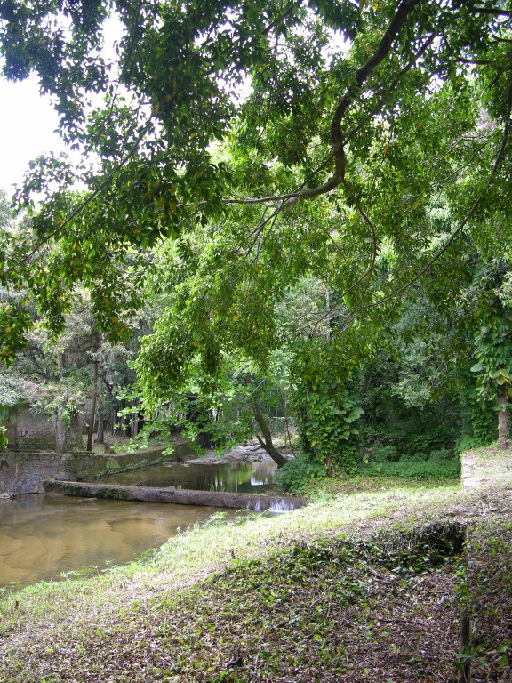 dscn4438.jpg