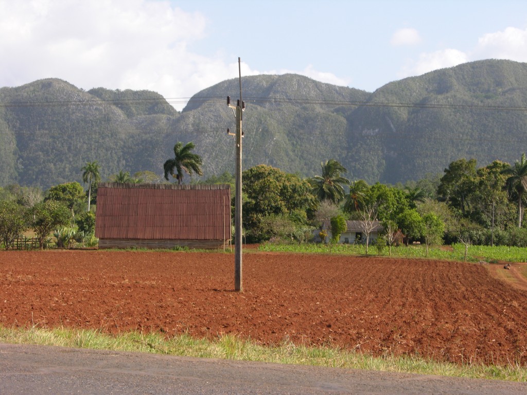 dscn4444.jpg