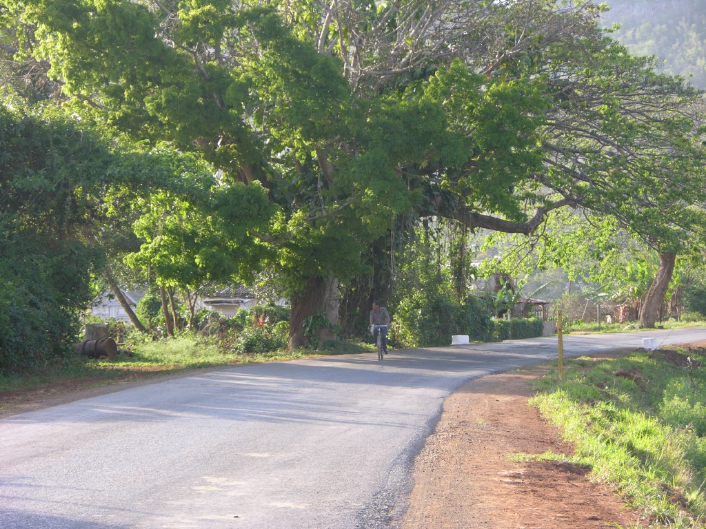 dscn4446.jpg