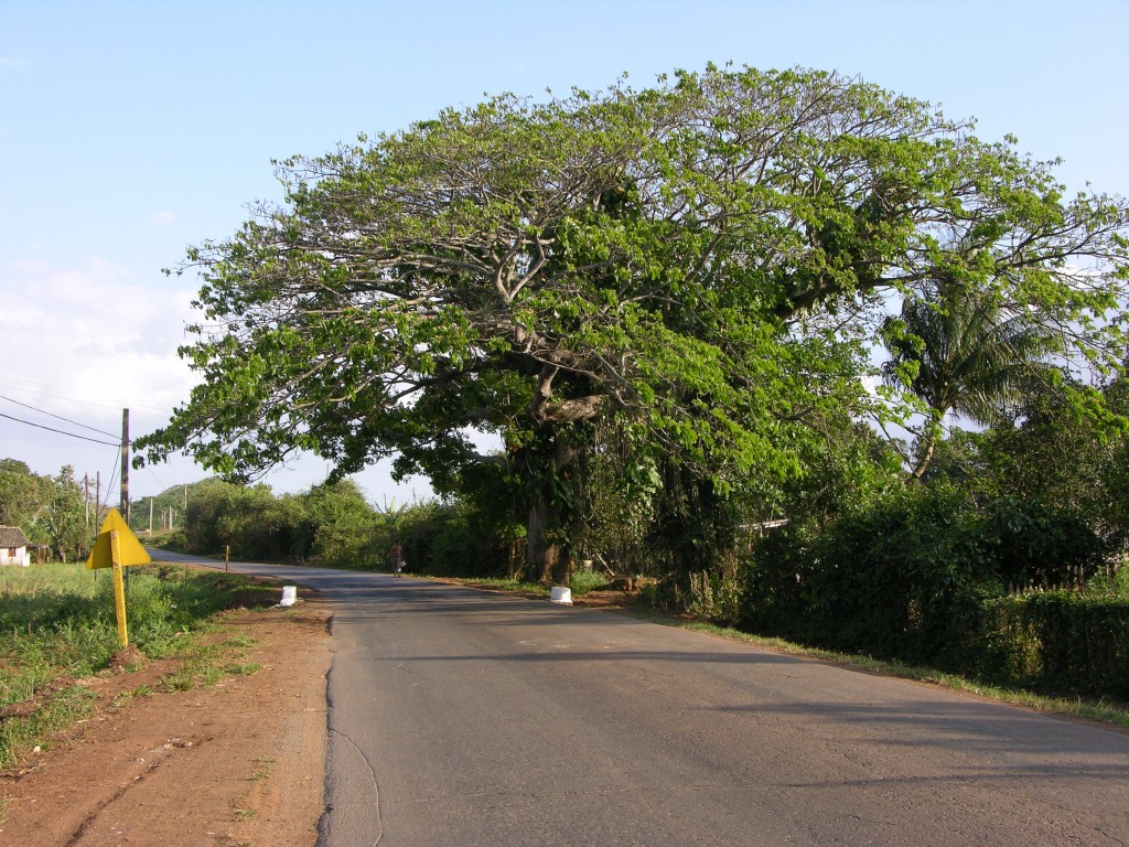 dscn4447.jpg