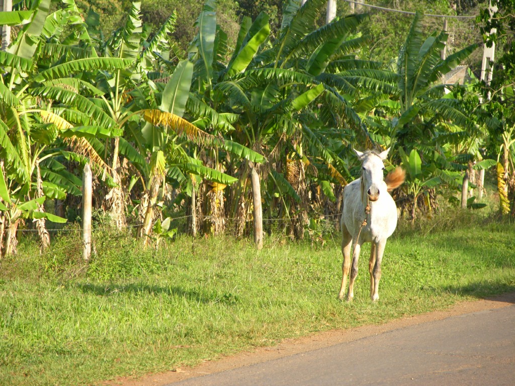 dscn4449.jpg