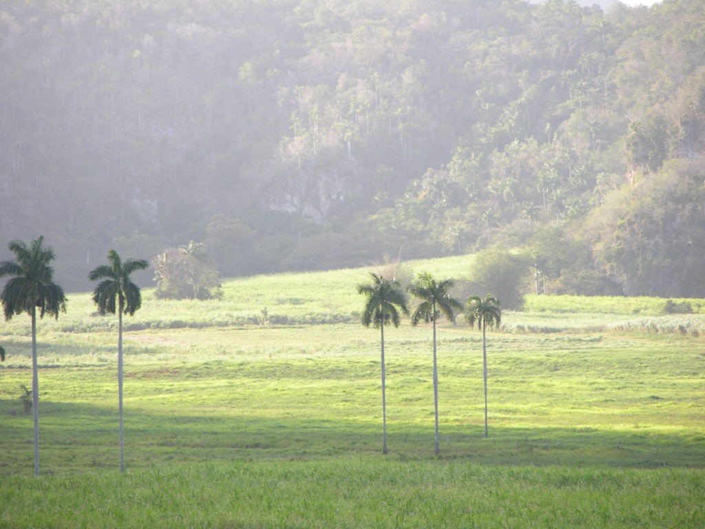 dscn4450.jpg