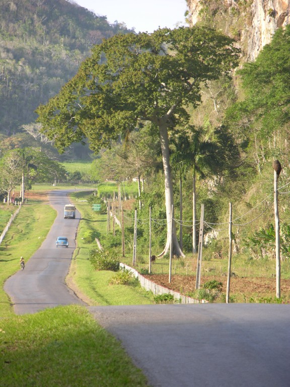 dscn4451.jpg