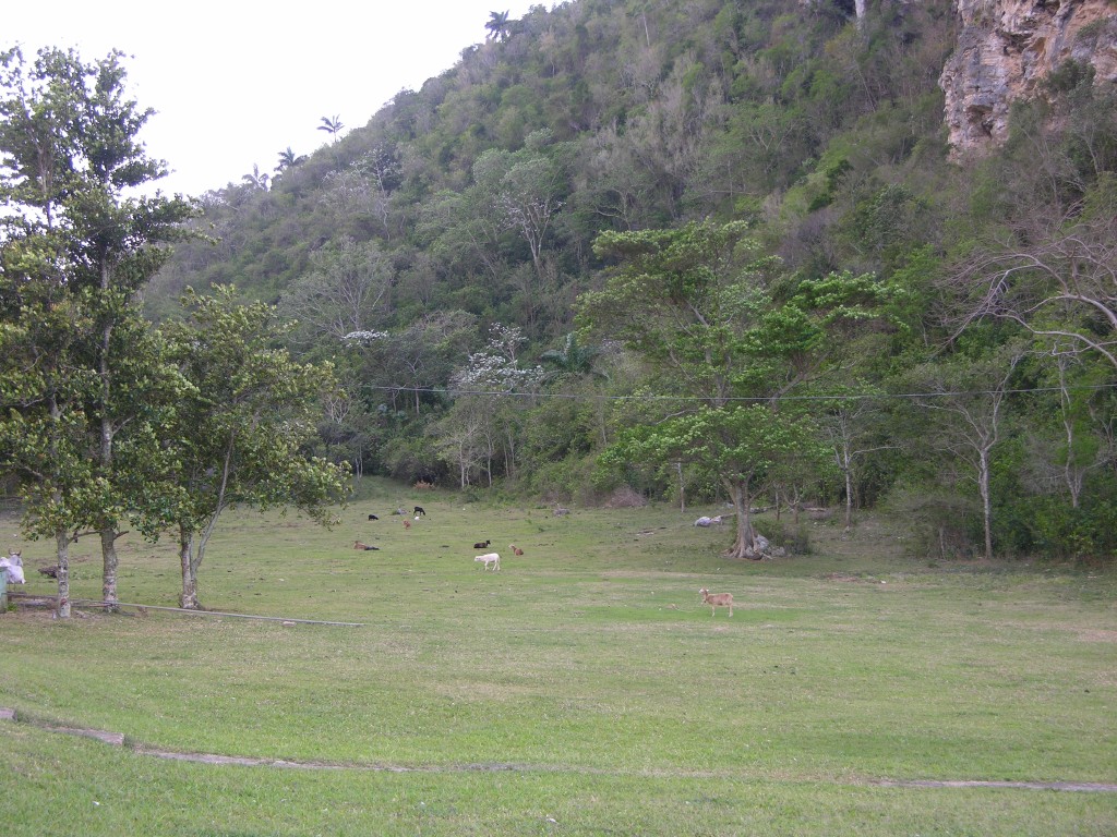 dscn4453.jpg