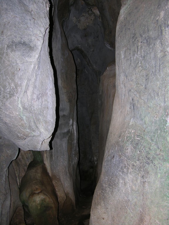 dscn4459.jpg