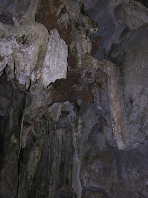 dscn4460.jpg