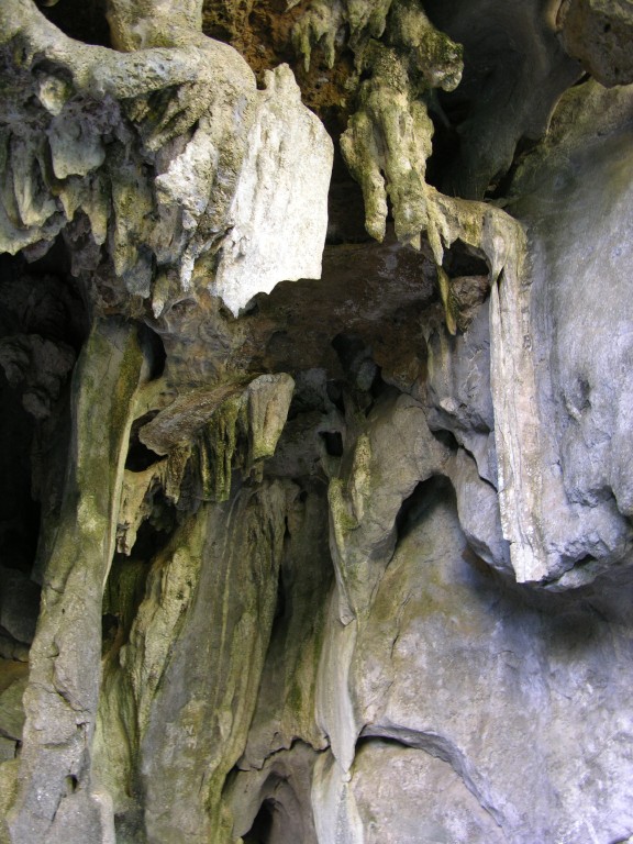 dscn4461.jpg