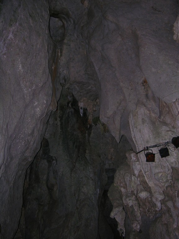 dscn4463.jpg