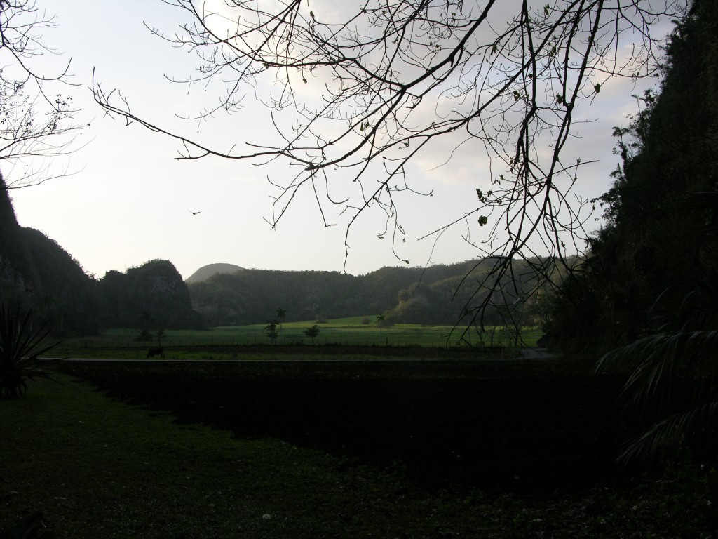 dscn4467.jpg