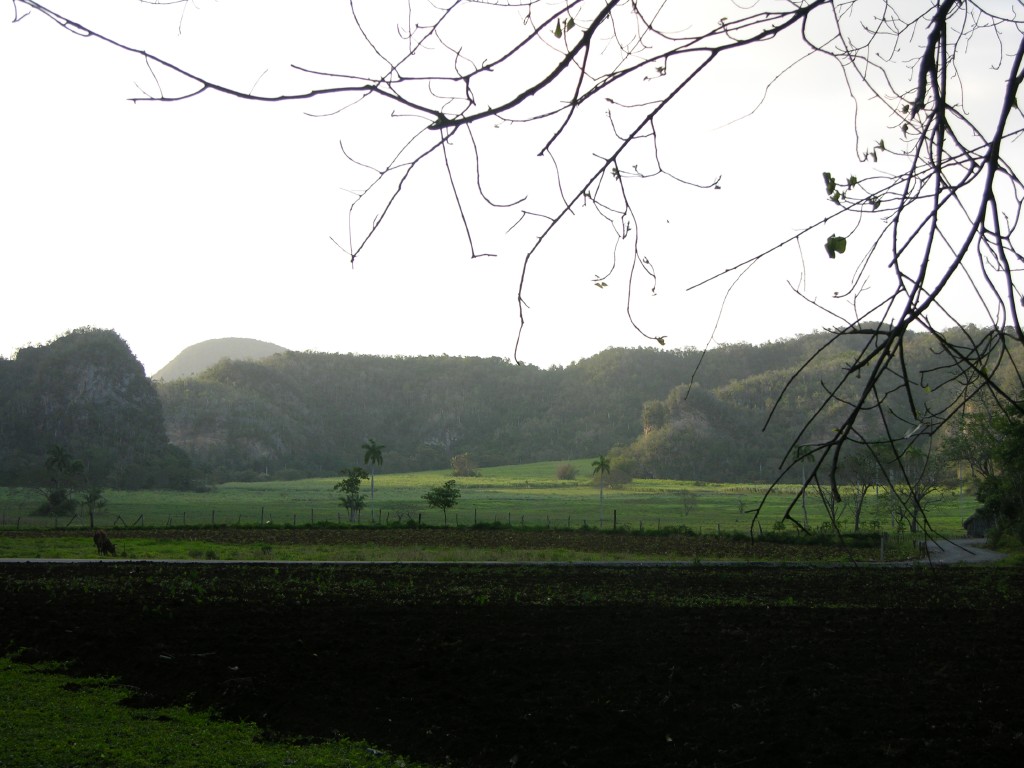 dscn4468.jpg