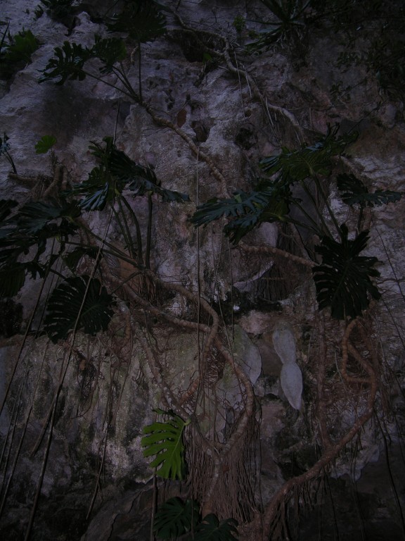 dscn4469.jpg