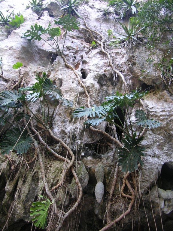 dscn4470.jpg