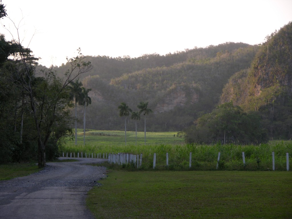 dscn4471.jpg