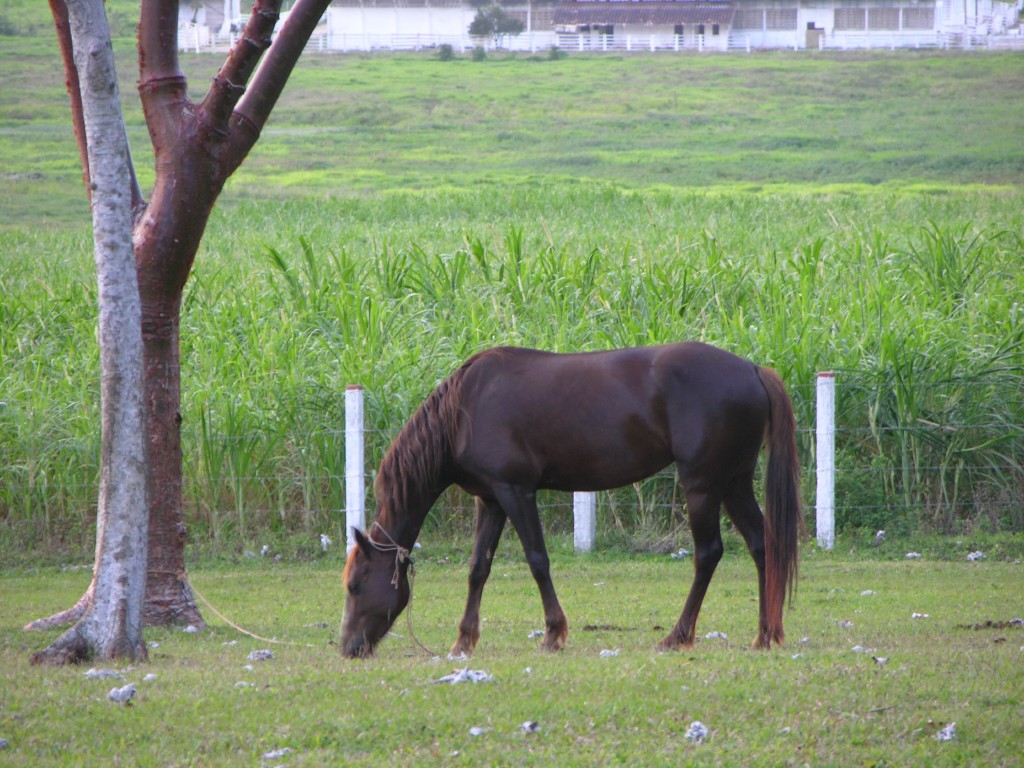 dscn4472.jpg