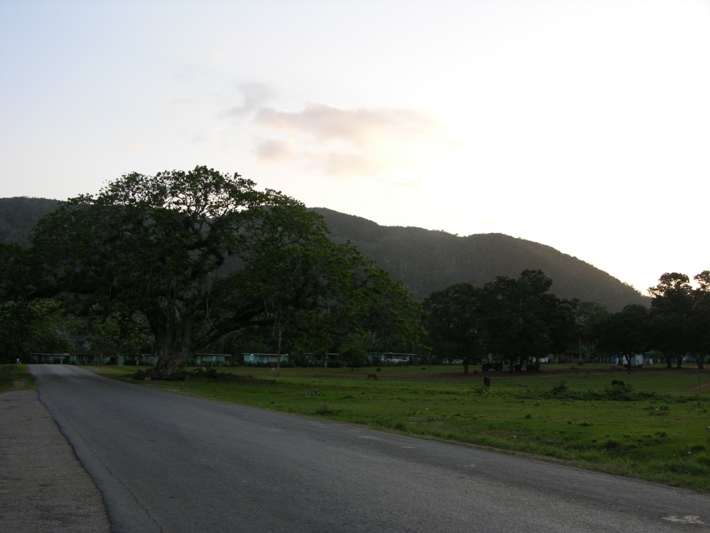 dscn4473.jpg