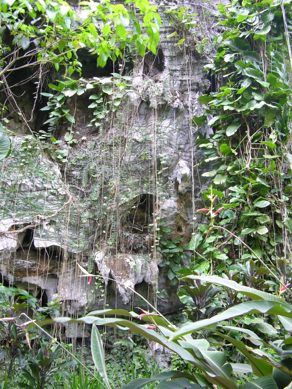 dscn4478.jpg