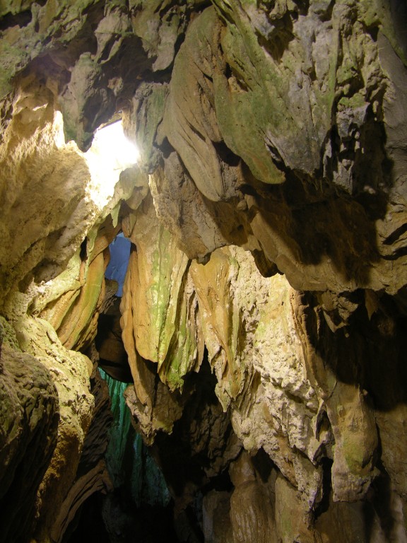 dscn4481.jpg