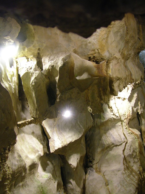 dscn4483.jpg